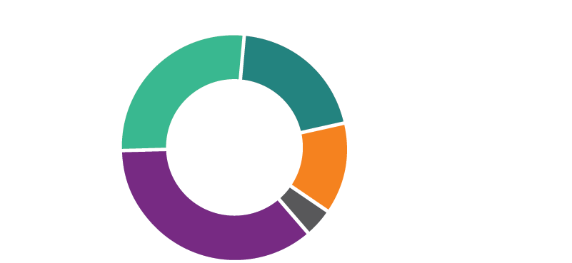 Donut pie chart showing 37% reduce on-street parking to one side of the street, 27% bring sidewalks up to minimum ADA standards (5 feet wide), 20% remove bike facilities from Elati Street and use other nearby corridors as dedicated bikeways, and 13% expand into the city foots right-of-way as much as necessary to fit the community foots desired improvements.