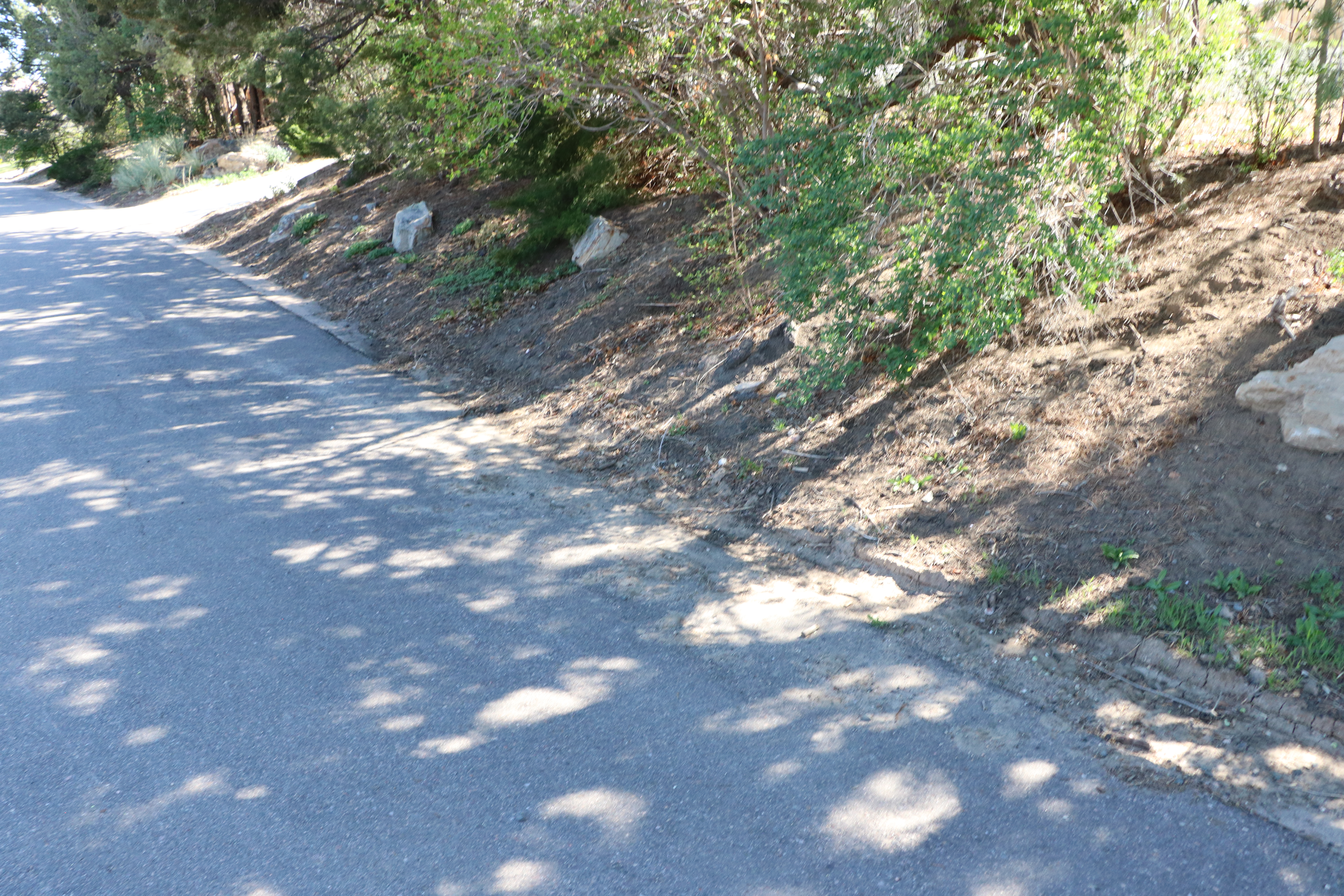 Street missing sidewalk